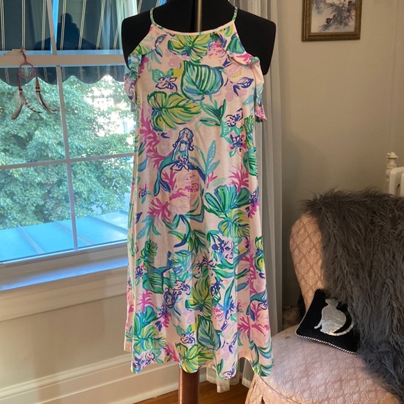 Lilly Pulitzer Dress - Picture 1 of 7